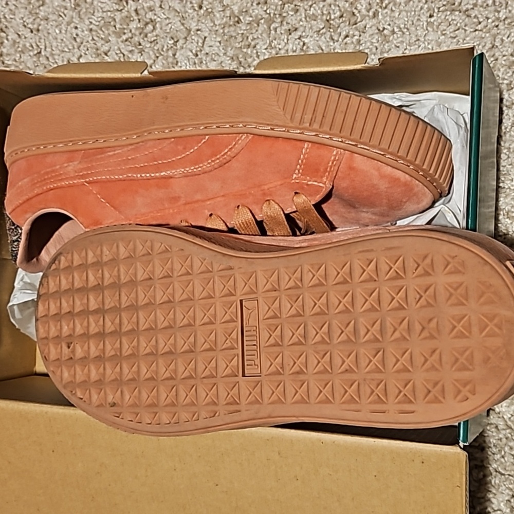 Puma Platform - image 3